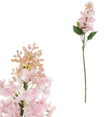 Obrázek produktu pro Autronic Šeřík růžová KUL016 PINK