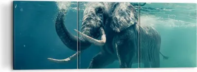 Produktbild von Bild auf Leinwand - Leinwandbild - Elefant Tier Wasser - 120x40cm - Wand Bild - Wanddeko - Leinwanddruck - Bilder - Kunstdruck - Wanddekoration - Leinwand bilder - Wandkunst - CA120x40-3944