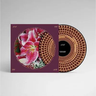Obrázok produktu pre Richard Hawley: (Limited Edition) (Zoetrope Picture Disc)