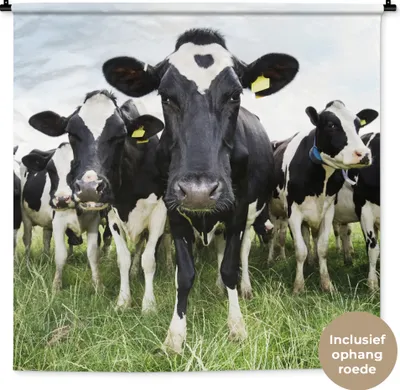 Produktbild von MuchoWow® Wandteppich Wandbehang Kühe - Gras - Frühling - Tiere - Wiese - Bauernhof 150x150 cm Tapisserie Dekoration Wandtuch - Wohnaccessoires - Modernes