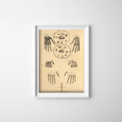 Produktbild von Poster - Canvas - Leinwand - 29,7 cm x 42 cm - Hände und Finger
