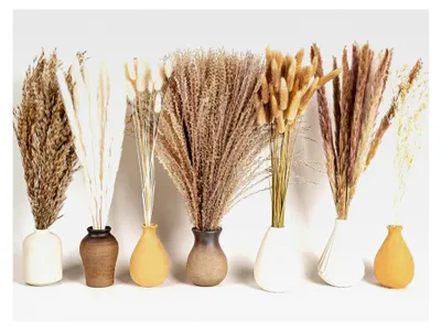 Produktbild von 128-teiliges Pampas-Set für Boho-Dekoration mit getrockneten Blumen