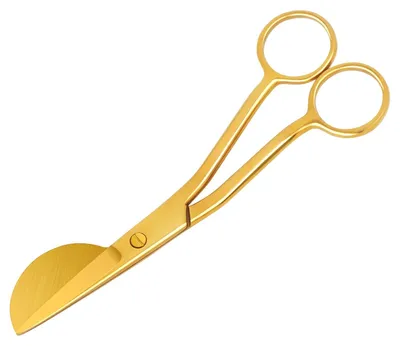 Produktbild von Omgoods – Applikationsschere aus Edelstahl mit Entenschnabel-Klinge – 15 cm, Goldfarben