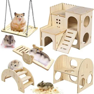 Image de Lot de 5 jouets pour hamsters, en bois : pont, balançoire, structure d'escalade