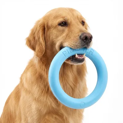 Immagine prodotto di Giocattolo resistente per cani Anello 19 cm, anello da mordere galleggiante in EVA, blu
