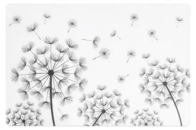 Obrázok produktu pre Zeller "Púpava" podložka, plast, priehľadná/čierna, 45 x 30 cm (1 ks)