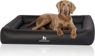 Produktbild von Knuffelwuff Orthopädisches Hundebett aus Laser gestepptem Kunstleder Hampstead 155 x 125cm Schwarz