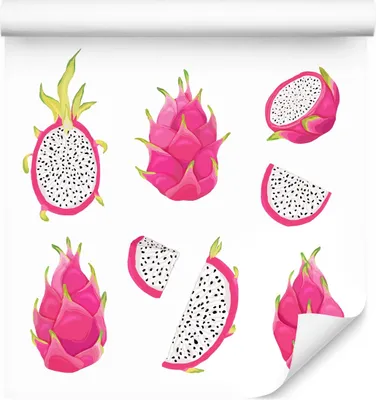 Produktbild von 10m VLIES TAPETE Rolle Rosa Pitaya FRÜCHTE für Dekor 6341