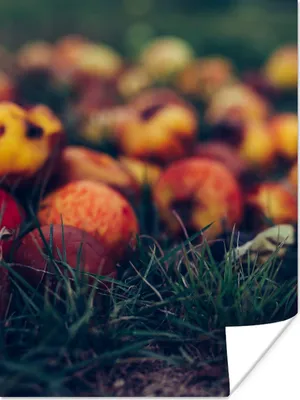 Produktbild von MuchoWow® Poster Landdekoration - Herbst - Apfel - Obst 90x120 cm - Wohnzimmer
