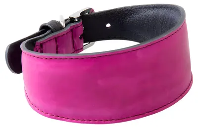 Produktbild von Das Lederband Windhundhalsband Vancouver Violet/Black, Länge: 57 cm / Breite: 40 mm