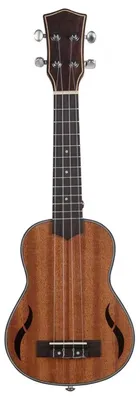 Productafbeelding van 21 Inch Ukelele met 4 Snaren en Accessoires