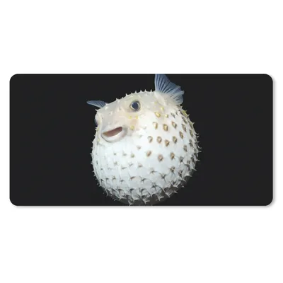 Produktbild von MuchoWow® Mauspad Mousepad Fische - Meerestiere - Porträt 60x30 cm - Mousepads - Maus Mat - Pad - Mausunterlage