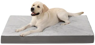 Produktbild von Orthopädisches Hundebett Waschbar Grau 91x68x8cm Eierschaum Wendbar