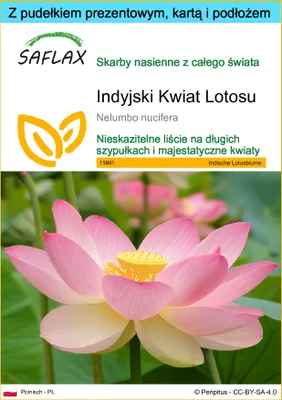 Zdjęcie produktu dla SAFLAX - Zestaw prezentowy - Indyjski Kwiat Lotosu - 8 Nasiona - Z pudełkiem upominkowym, etykietą wysyłkową, kartą podarunkową i podłożem uprawowym - Nelumbo nucifera