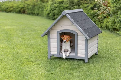Produktbild von TRIXIE Hundehütte Cottage - grau - 71 × 77 × 76 cm