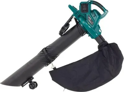 Image de Aspirateur / souffleur de feuilles sans fil 2X20V