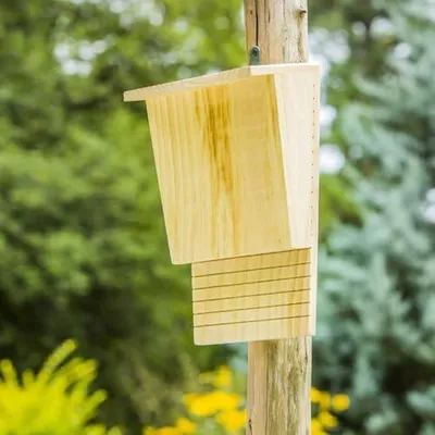 Produktbild von Wetterfestes Fledermaushaus aus Holz zur Fliegenkontrolle für Garten und Terrasse
