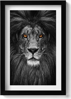 Produktbild von Schwarz-weißer Löwenkopf– Wandbild mit Rahmen – Gerahmtes Bild  – Wanddekoration – 20x30 cm – Schwarz