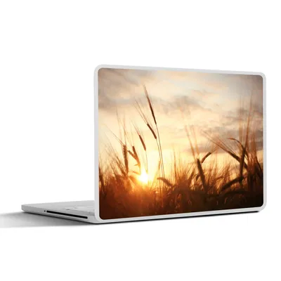 Produktbild von MuchoWow® Laptop Aufkleber Sticker Cover Schilf - Gras - Sonnenuntergang - Natur - Horizont 25x18 cm - Laptop-Deko