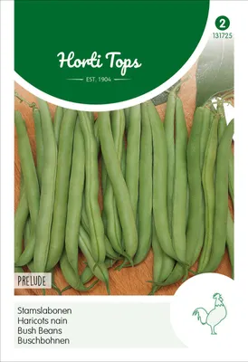 Produktbild von Buschbohnen Prelude (25 g) | Buschbohnensamen von Hortitops