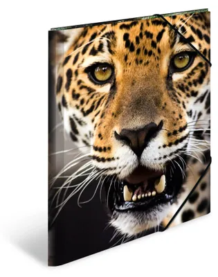 Produktbild von HERMA Sammelmappen A3 Leopard Set, 3 Stück, Kinder Eckspanner-Mappen aus Kunstst