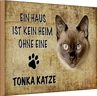 Produktbild von Holzschild Spruch 30x20cm Tonka Katze ohne kein Heim