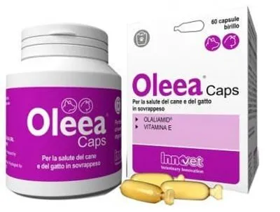 Produktbild von OLEEA Kapseln, 60 Stück