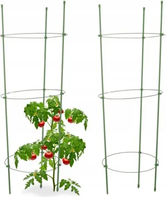 Produktbild von Happypet Rankhilfe, verstellbare Ringe, für Tomaten, Pflanzen & Blumen, 2 Stück, aus Eisen & Kunststoff, grün, 76 cm Höhe, 28.5 cm Breite, für innen & außen, einfache Montage
