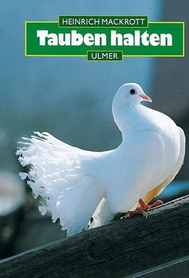 Produktbild von Tauben halten