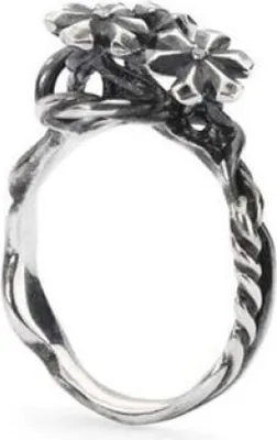 Produktbild von TROLLBEADS Schmuck TAGRI-00304