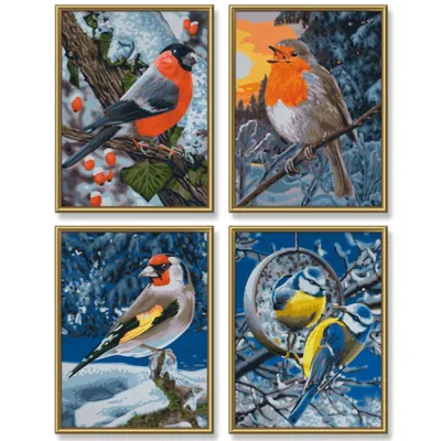 Image de Noris Spiele Malen nach Zahlen - Wintervögel (Quattro) ; 609340661