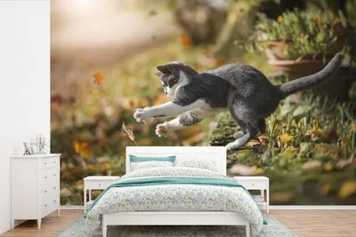 Produktbild von MuchoWow® Fototapete für Wohnzimmer oder Schlafzimmer Wandtapete Vinyl Motivtapete Katze - Laub - Herbst - 600x400 cm - Vinyltapeten