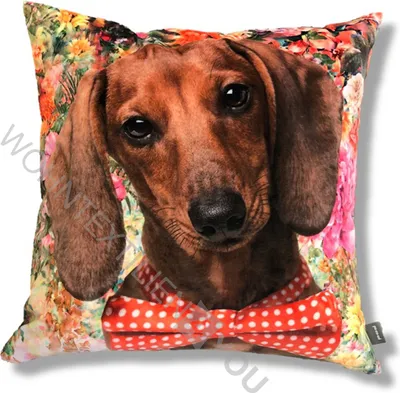 Produktbild von pad Kissenhülle NIKKI 45 x 45 cm aus 100% Polyester-Velour Dackel Bedruckt
