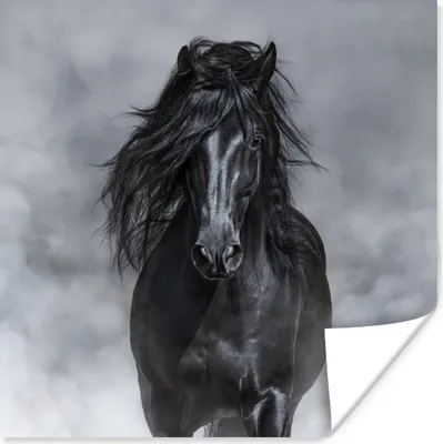 Produktbild von MuchoWow® Poster Pferd - Schwarz - Smoke 30x30 cm - Wandposter - Printing