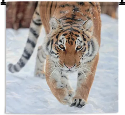 Produktbild von MuchoWow® Wandteppich Wandbehang Tiger - Schnee - Tiere 90x90 cm Tapisserie Dekoration Wandtuch - Wandaufhänger