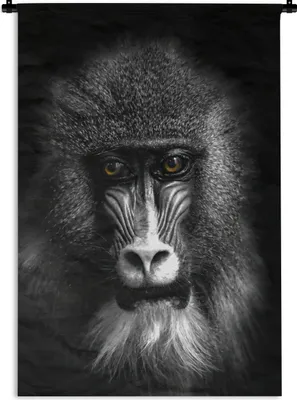Produktbild von MuchoWow® Wandteppich Wandbehang Affe - Tiere - Augen - Braun - Schwarz und weiß 90x135 cm Tapisserie Dekoration Wandtuch - Baumwolle - Wandskulptur
