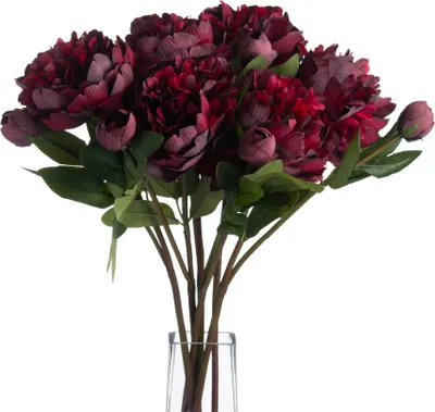 Immagine prodotto di Hill Interiors - Fiore artificiale, peonia HI3279 (taglia unica) (Borgogna)
