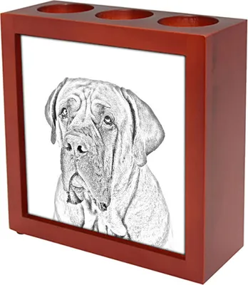 Produktbild von Boerboel - Stifthalter mit Hund, Schreibtischorganizer mit Aufdruck, personalisierte Schreibtischdekoration der Marke Art-Dog