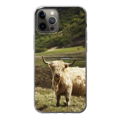 Produktbild von MuchoWow® Handyhülle Schutzhülle Hülle für iPhone 13 Pro Schottische Highlander - Pfad - Wald Silikon Softcase Handy Hülle - Handy-Tasche