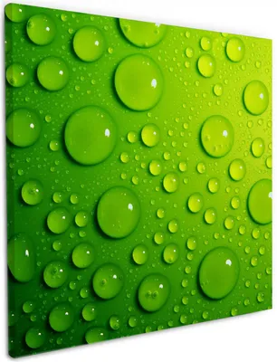 Produktbild von Wallario Premium Leinwandbild Wassertropfen auf Grün in Größe 50 x 50 cm