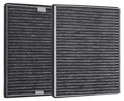 2x Aktivkohlefilter für Miele DKF 12-P, 28,7x24,2x2 cm