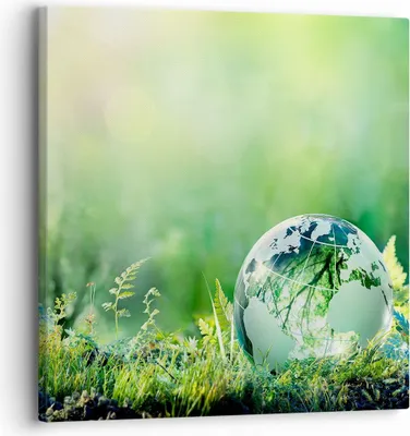 Produktbild von Bild auf Leinwand - Leinwandbild - natur natur - 30x30cm - Wand Bild - Wanddeko - Wandbilder - Leinwanddruck - Bilder - Kunstdruck - Wanddekoration - Leinwand bilder - Wandkunst - AC30x30-4041