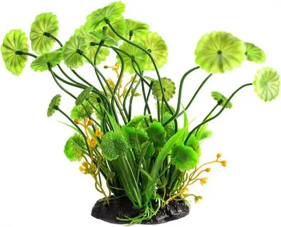 Immagine prodotto di Pianta artificiale Repti-Zoo - Pilea Repti-Zoo