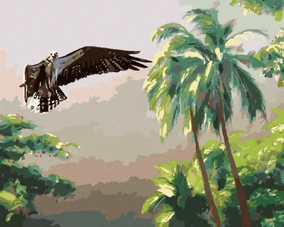 Produktbild von Zuty - Malen nach Zahlen - ADLER IM FLUG UND BÄUME (D. RUSTY RUST), 40x50 cm, ohne Keilrahmen