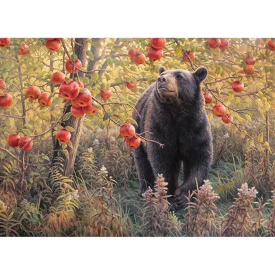 Immagine prodotto di COBBLE HILL puzzle ibernazione 500 pezzi