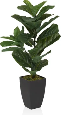 Produktbild von hjh OFFICE Kunstpflanze LYRATA Künstliche Pflanze Feige Höhe 80.0 cm Deko