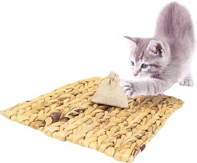 Image de JR FARM | tapis avec herbe à chat| jouet pour chat