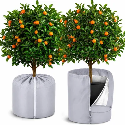 Obrázek produktu pro Termoizolační ochrana pro rostliny, 2 kusy, šedá, rozměry 70x65 cm, s zipem a stahovací šňůrkou