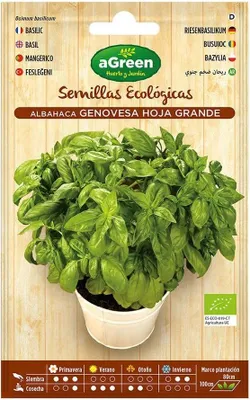 Obrázok produktu pre Semená aGreen Ekologická bazalka
