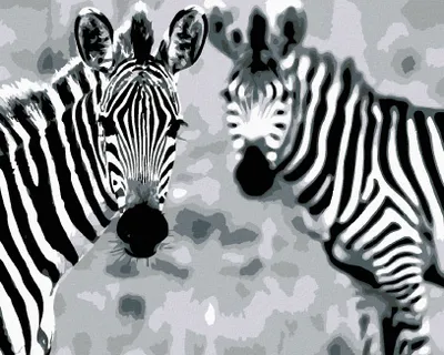 Produktbild von Diamondi - Diamond painting - REGENBOGEN-ZEBRAS, 40X50 cm, ohne Keilrahmen